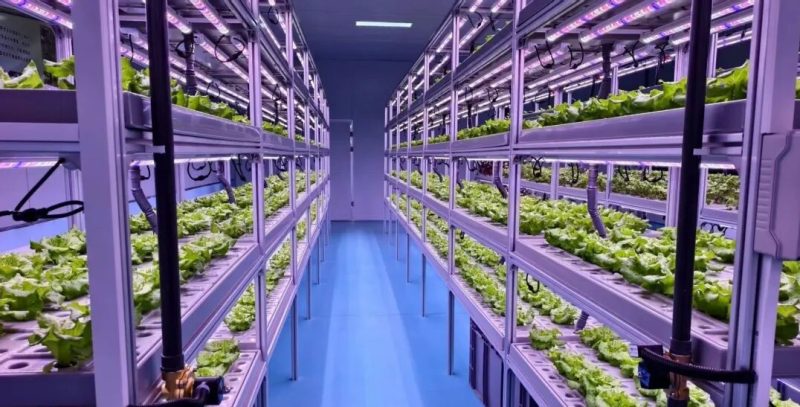 宝鸡陈仓区：奏响农业发展“五化”协奏曲-520发布